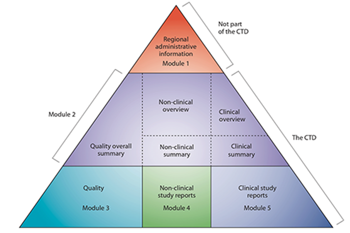 Ruhsatlandırma Hizmetleri